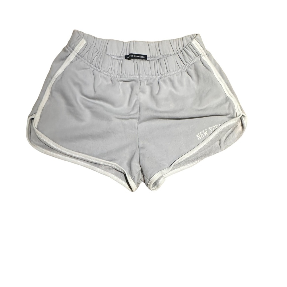Brandy Melville Light Blue New York Lisette Shorts
